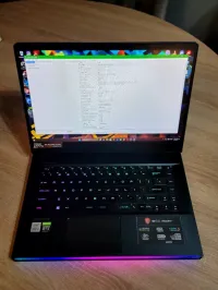 MSI Ge66 raider