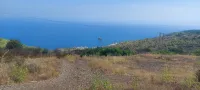 Vente Terrain Tipaza Tipaza