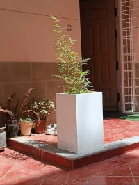 Jardinière en grc إناء للزينة vase pots de fleurs