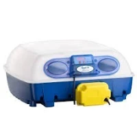 Couveuse automatique italienne BOROTTO 