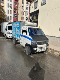 camion-chana-star-2009-setif-algerie