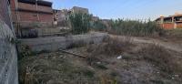 أرض-بيع-بومرداس-أولاد-موسى-الجزائر