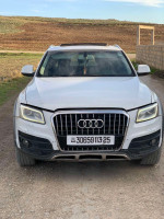 voitures-audi-q5-2013-off-road-mila-algerie