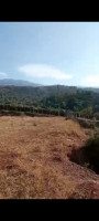 land-sell-blida-ouled-yaich-algeria