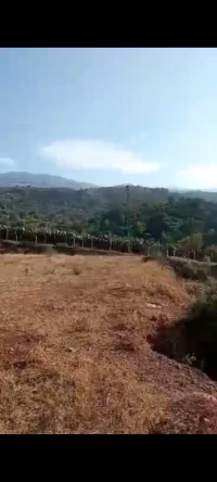 Vente Terrain Blida Ouled yaich