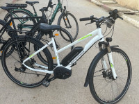 velos-velo-electrique-khemis-miliana-ain-defla-algerie