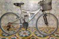 velo