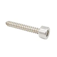 VIS PARKER BTR INOX A2