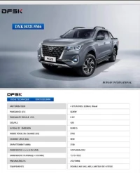 DFSK Pick-up 4x2 2024
