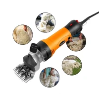 Tondeuse Électrique Professionnelle Pour Moutons