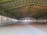 hangar-location-blida-beni-tamou-algerie