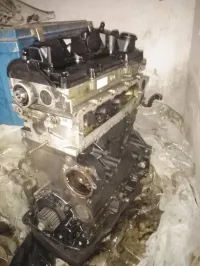 moteur batima teguane 2017 