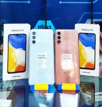 Samsung F13