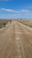 terrain-agricole-vente-mascara-alaimia-algerie