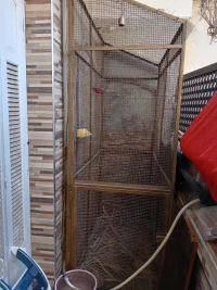 Cage  oiseau