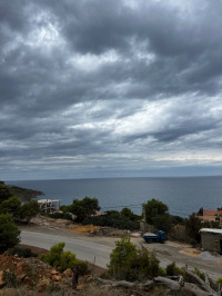 terrain-vente-tipaza-larhat-algerie