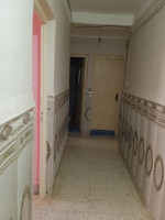 appartement-location-f2-chlef-beni-haoua-algerie