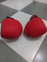 Gants de box