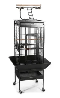 Cage perroquets 