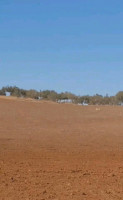 terrain-agricole-vente-sidi-bel-abbes-tessala-algerie