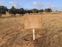 farmland-sell-mostaganem-fornaka-algeria