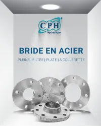 BRIDE EN ACIER PLEINE / FILTÉE / PLATE / À COLLERETTE
