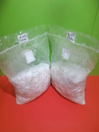 Champignons