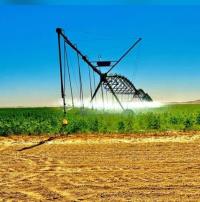 صناعة-و-إنتاج-ingenieur-et-technicien-en-agronomie-برج-عمر-ادريس-إليزي-الجزائر