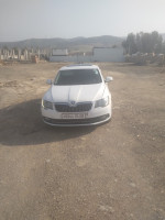 voitures-skoda-superb-2014-elegance-meftah-blida-algerie