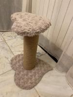 accessoire-pour-animaux-arbre-a-chats-griffoir-hydra-alger-algerie