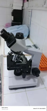 Microscope optique 