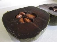سابوتا سوداء