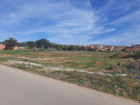 terrain-vente-mostaganem-ain-tadles-algerie