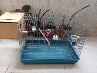 قفص عصافير + عش بيروش / CAGE POURE OISEAUX