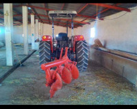 tracteurs-massey-ferguson-deuts-2015-batna-algerie