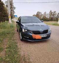 سيارات-skoda-octavia-2019-business-تيسمسيلت-الجزائر