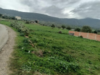 terrain-vente-tizi-ouzou-azazga-algerie