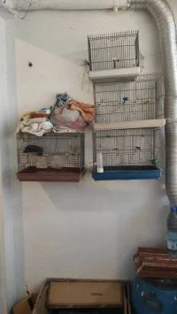 8 cages oiseaux