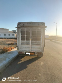 camion-h100-hyundai-2007-babar-khenchela-algerie