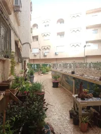 Location Appartement Alger Ain benian