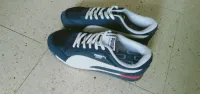 Vente Basquette puma