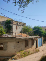 villa-vente-tipaza-fouka-algerie