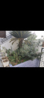 duplex-location-f3-alger-hydra-algerie