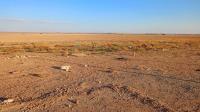 terrain-agricole-vente-djelfa-benhar-algerie