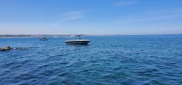 Yamaha 85cv 2t Cobia open 5.80 1993