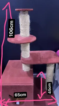 منزل للقطط