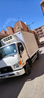 camion-hyundai-hd65-frigo-2019-bouira-algerie