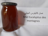 alimentaires-miel-pure-eucalyptus-de-montagne-عسل-حر-كاليتوس-جبلي-saoula-alger-algerie