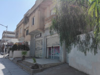 villa-vente-mila-chelghoum-laid-algerie