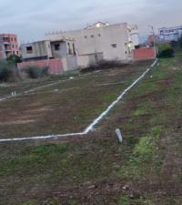 terrain-vente-alger-birtouta-algerie
